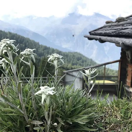 Apartamento Amazing With Valley View