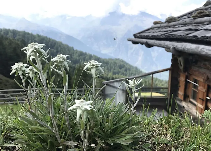 アパート Amazing With Valley View